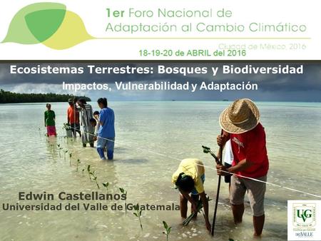 Cambio Climático Ecosistemas Terrestres: Bosques y Biodiversidad Edwin Castellanos Universidad del Valle de Guatemala Impactos, Vulnerabilidad y Adaptación.