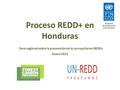 Proceso REDD+ en Honduras Foro regional sobre la prevención de la corrupción en REDD+ Enero 2013.