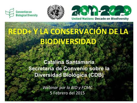 REDD+ Y LA CONSERVACIÓN DE LA BIODIVERSIDAD