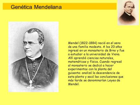 Genética Mendeliana Mendel (1822-1884) nació en el seno de una familia modesta. A los 20 años ingresó en un monasterio de Brno y fue a estudiar a la universidad.