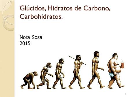 Glúcidos, Hidratos de Carbono, Carbohidratos.