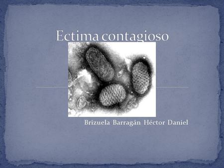 Brizuela Barragán Héctor Daniel