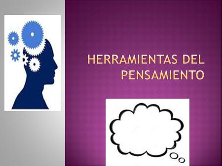  Son representaciones gráficas que nos ayudan a entender un texto o un tema, organizar información o planificar la producción de un escrito, un proceso,