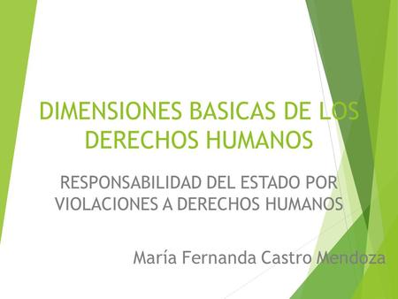 DIMENSIONES BASICAS DE LOS DERECHOS HUMANOS