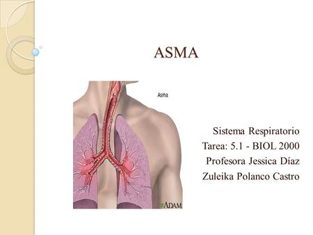 ASMA Sistema Respiratorio Tarea: BIOL 2000