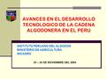 AVANCES EN EL DESARROLLO TECNOLOGICO DE LA CADENA ALGODONERA EN EL PERU INSTITUTO PERUANO DEL ALGODON MINISTERIO DE AGRICULTURA INCAGRO 23 – 24 DE NOVIEMBRE.