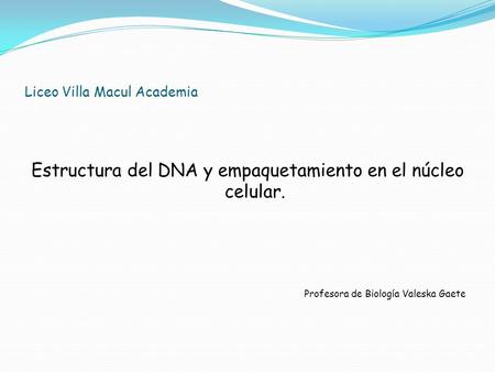 Estructura del DNA y empaquetamiento en el núcleo celular. Profesora de Biología Valeska Gaete Liceo Villa Macul Academia.