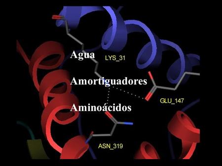 Agua Amortiguadores Aminoácidos. Composición química de E. coli. Page 5.