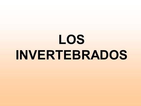 LOS INVERTEBRADOS.