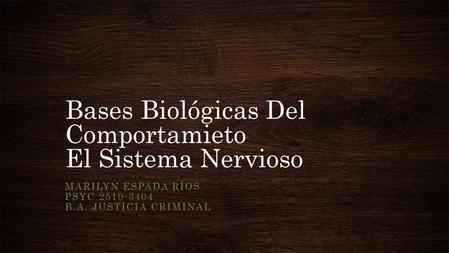 Bases Biológicas Del Comportamieto El Sistema Nervioso MARILYN ESPADA RÍOS PSYC 2510-3404 B.A. JUSTICIA CRIMINAL.