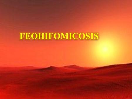 Feohifomicosis.