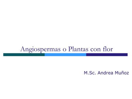 Angiospermas o Plantas con flor