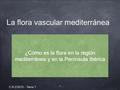 1 C.R.Z/2015 - Tema 7 La flora vascular mediterránea ¿Cómo es la flora en la región mediterránea y en la Península Ibérica.