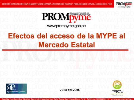 Julio del 2005 Efectos del acceso de la MYPE al Mercado Estatal.