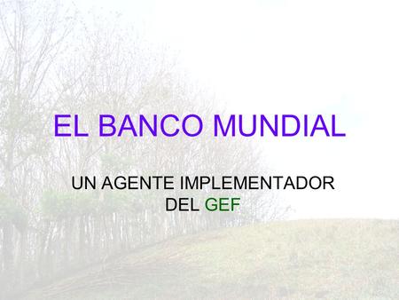 EL BANCO MUNDIAL UN AGENTE IMPLEMENTADOR DEL GEF.