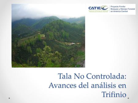 Tala No Controlada: Avances del análisis en Trifinio.