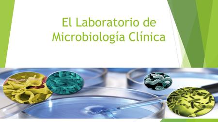 El Laboratorio de Microbiología Clínica. El laboratorio de microbiología clínica tiene como función principal realizar determinaciones microbiológicas.