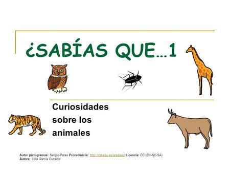 Curiosidades sobre los animales