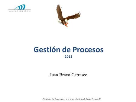 Gestión de Procesos, www.evolucion.cl, Juan Bravo C. Gestión de Procesos 2015 Juan Bravo Carrasco 2013.