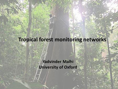 Tropical forest monitoring networks Yadvinder Malhi University of Oxford.