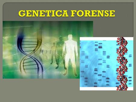 GENETICA FORENSE.