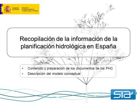 Recopilación de la información de la planificación hidrológica en España Contenido y preparación de los documentos de los PHC Descripción del modelo conceptual.
