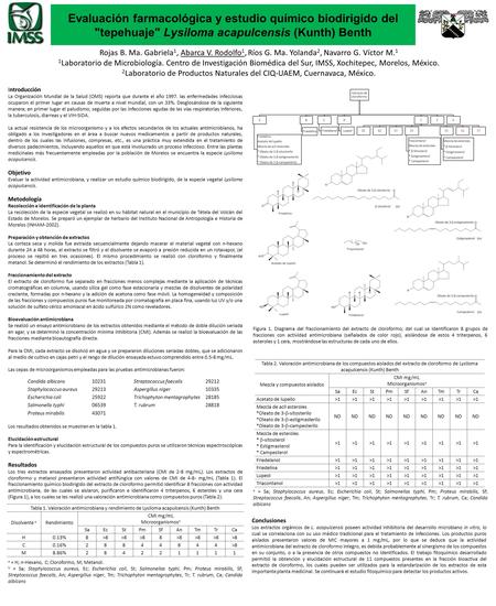 Evaluación farmacológica y estudio químico biodirigido del tepehuaje Lysiloma acapulcensis (Kunth) Benth Introducción La Organización Mundial de la Salud.
