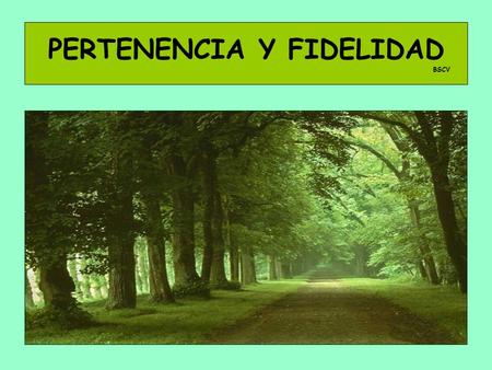 PERTENENCIA Y FIDELIDAD BSCV. SER SALESIANO COOPERADOR ES UN COMPROMISO DOBLE La promesa exige un doble compromiso: Crecer y derramar el amor, en el ámbito.