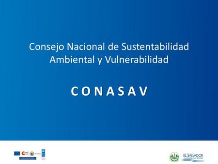 Consejo Nacional de Sustentabilidad Ambiental y Vulnerabilidad C O N A S A V.
