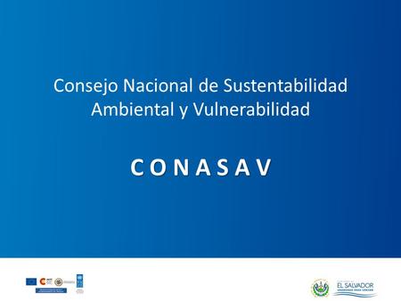 Consejo Nacional de Sustentabilidad Ambiental y Vulnerabilidad C O N A S A V.