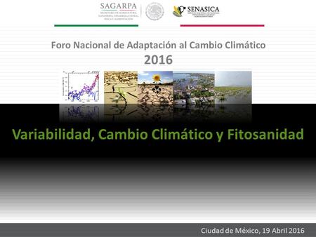 Ciudad de México, 19 Abril 2016 Variabilidad, Cambio Climático y Fitosanidad Foro Nacional de Adaptación al Cambio Climático 2016.
