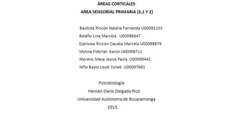 AREA SENSORIAL PRIMARIA (3,1 Y 2)