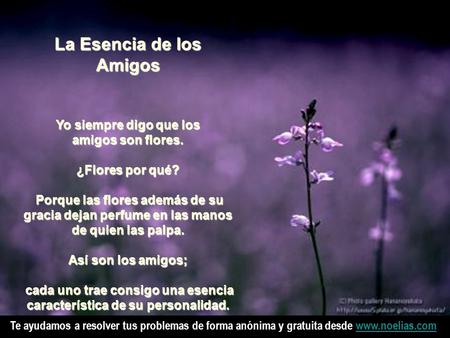 Te ayudamos a resolver tus problemas de forma anónima y gratuita desde www.noelias.comwww.noelias.comLa Esencia de los Amigos Yo siempre digo que los.