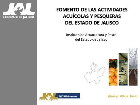 Instituto de Acuacultura y Pesca del Estado de Jalisco Martes 09 de Junio FOMENTO DE LAS ACTIVIDADES ACUÍCOLAS Y PESQUERAS DEL ESTADO DE JALISCO.