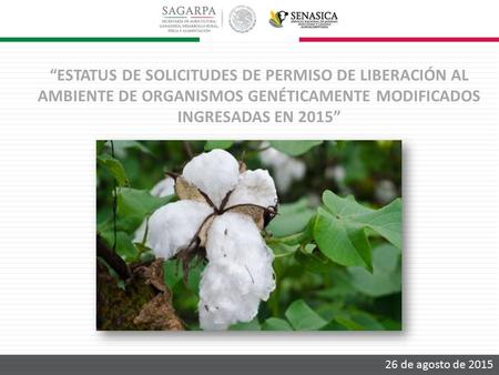 “ESTATUS DE SOLICITUDES DE PERMISO DE LIBERACIÓN AL AMBIENTE DE ORGANISMOS GENÉTICAMENTE MODIFICADOS INGRESADAS EN 2015” 26 de agosto de 2015.