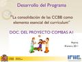 Desarrollo del Programa “ La consolidación de las CCBB como elemento esencial del currículum” DOC. DEL PROYECTO COMBAS A1 Madrid, 18 enero, 2011.