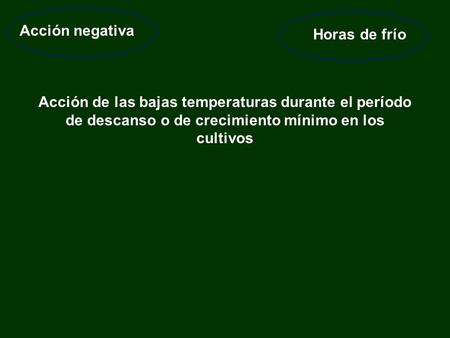 Acción negativa Horas de frío