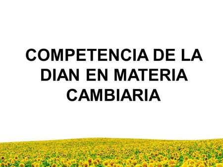 COMPETENCIA DE LA DIAN EN MATERIA CAMBIARIA J.M. Sereno P1.