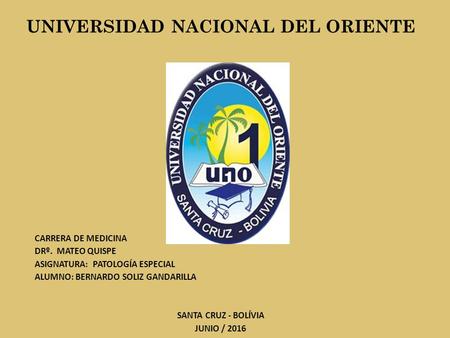 UNIVERSIDAD NACIONAL DEL ORIENTE