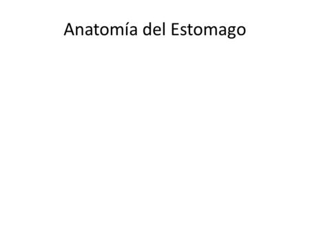 Anatomía del Estomago.