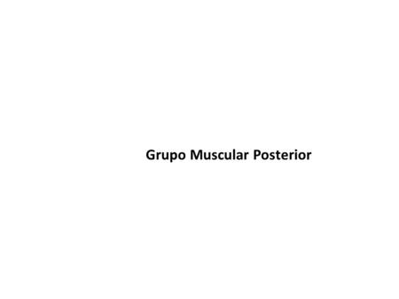 Grupo Muscular Posterior. Grupo muscular posterior Poplíteo Origen: Cóndilo externo del fémur Inserción: Porción posterior y superior de la tibia Acción: