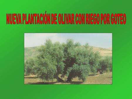 - Arenas: 25.84 % - Limos: 39.27 % - Arcillas: 35.39 % - pH: 6.9 - Relación C/N: 9.52 - Materia orgánica (%): 1.9 - Carbono: