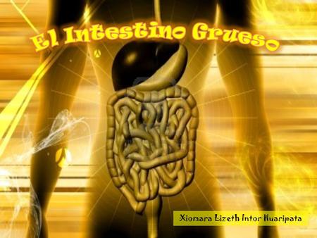 Xiomara Lizeth Intor Huaripata. DEFINICIÓN: El intestino grueso es la penúltima porción del tubo digestivo, formada por el ciego, el colon, el recto.