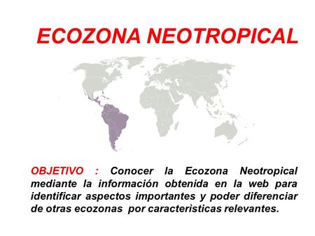 ECOZONA NEOTROPICAL OBJETIVO : Conocer la Ecozona Neotropical mediante la información obtenida en la web para identificar aspectos importantes y poder.