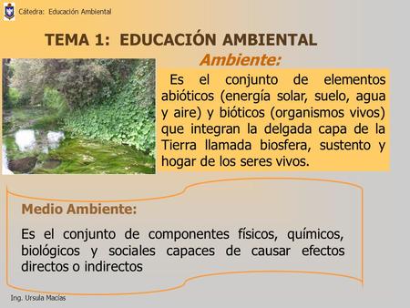 Cátedra: Educación Ambiental Ing. Ursula Macías TEMA 1: EDUCACIÓN AMBIENTAL Ambiente: Es el conjunto de elementos abióticos (energía solar, suelo, agua.