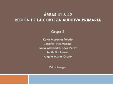 REGIÓN DE LA CORTEZA AUDITIVA PRIMARIA