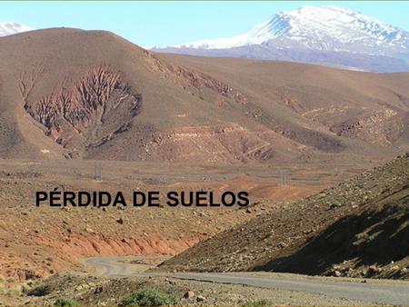 PÉRDIDA DE SUELOS.