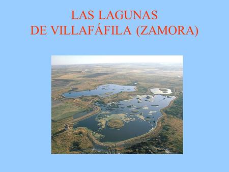LAS LAGUNAS DE VILLAFÁFILA (ZAMORA) PRESENTACIÓN Y UBICACIÓN * La reserva natural de las Lagunas de Villafáfila, es un espacio natural protegido que.