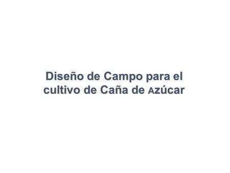 Diseño de Campo para el cultivo de Caña de Azúcar