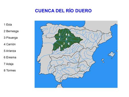 CUENCA DEL RÍO DUERO 1 Esla 2 Bernesga 3 Pisuerga 4 Carrión 5 Arlanza